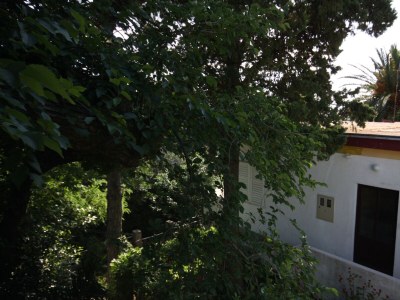 Holiday room Apartments and rooms by the sea Banjol, Rab - 5077 - Apartments and rooms by the sea Banjol, Rab - 5077 - Outdoor photo 24