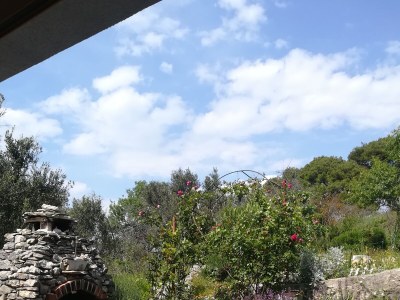 Apartment One bedroom apartment with terrace and sea view Murter A-5097-a - Outdoor photo 7