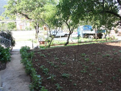 Apartment Apartments with parking space Grebaštica, Šibenik - 6103 - Apartments with parking space Grebaštica, Šibenik - 6103 - Outdoor photo 10