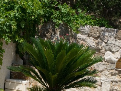 Apartment One bedroom apartment with terrace and sea view Lokva Rogoznica, Omiš A-6005-b - Outdoor photo 5