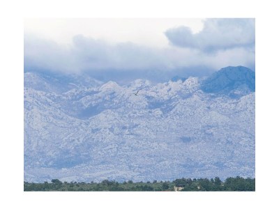 Apartment One bedroom apartment near beach Vrsi - Mulo, Zadar A-5951-a in Vrsi - Apartment