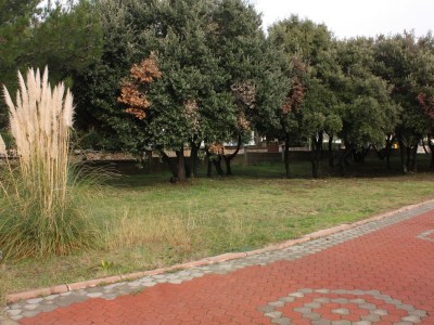 Apartment One bedroom apartment near beach Vrsi - Mulo, Zadar A-5951-a - Outdoor photo 12