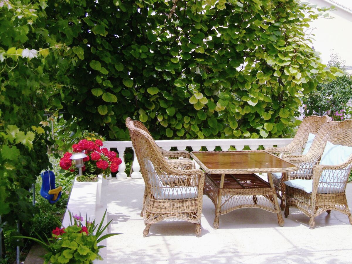 Apartment Four-bedroom apartment with terrace and sea view Vrsi - Mulo, Zadar A-5791-a