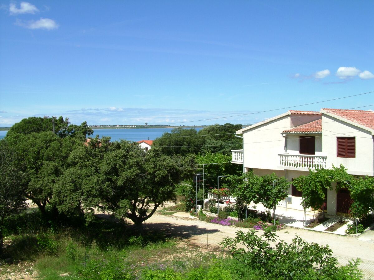 Apartment Four-bedroom apartment with terrace and sea view Vrsi - Mulo, Zadar A-5791-a - Outdoor photo 4