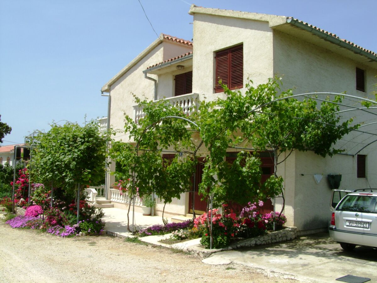 Apartment Four-bedroom apartment with terrace and sea view Vrsi - Mulo, Zadar A-5791-a - Outdoor photo 5