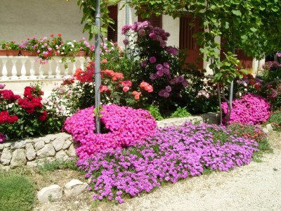 Apartment Four-bedroom apartment with terrace and sea view Vrsi - Mulo, Zadar A-5791-a - Outdoor photo 15