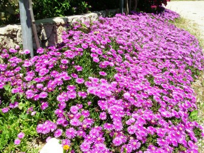 Apartment Four-bedroom apartment with terrace and sea view Vrsi - Mulo, Zadar A-5791-a - Outdoor photo 17