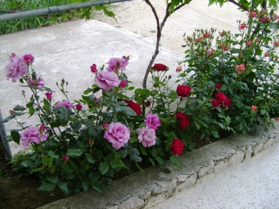 Apartment Four-bedroom apartment with terrace and sea view Vrsi - Mulo, Zadar A-5791-a - Outdoor photo 18