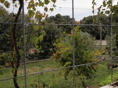 Apartment Four-bedroom apartment with terrace and sea view Vrsi - Mulo, Zadar A-5791-a - Outdoor photo 44