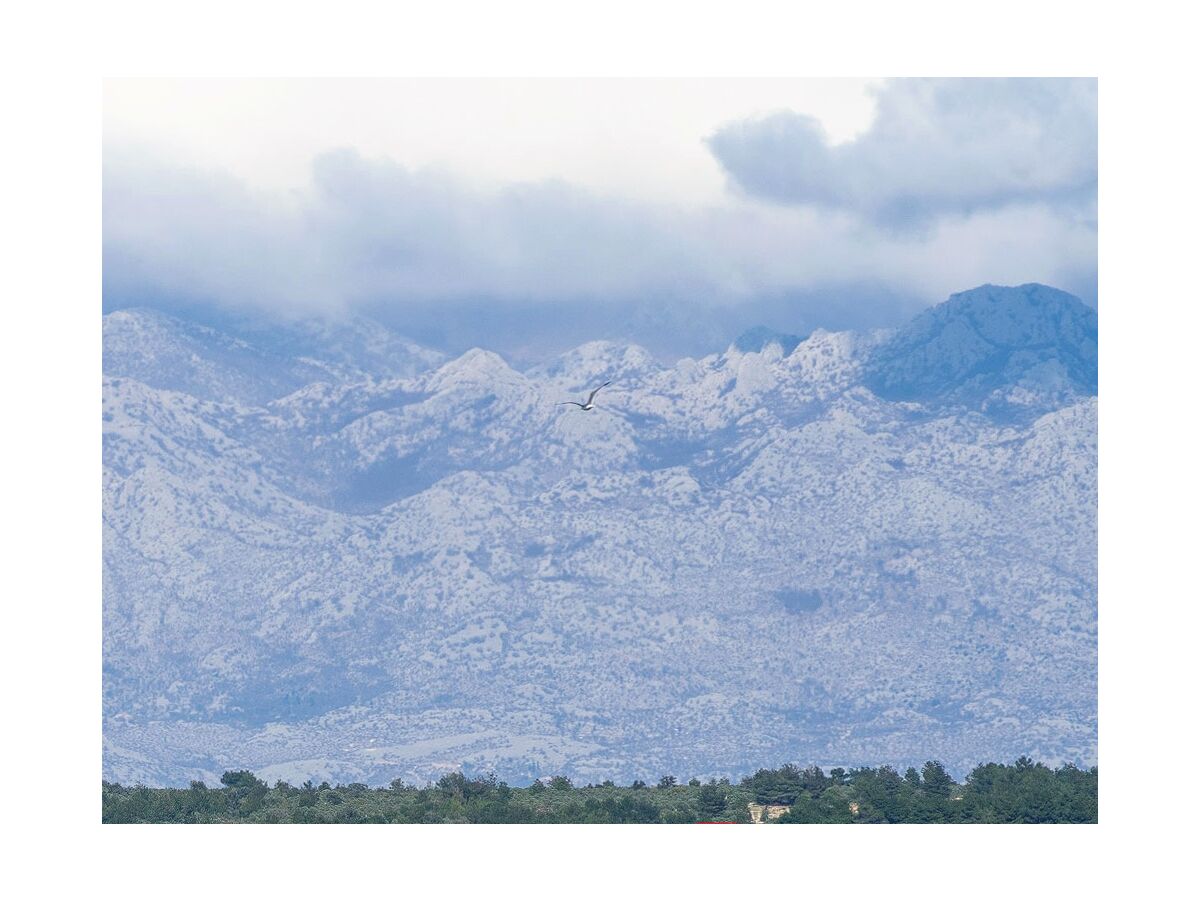 Apartment Two bedroom apartment near beach Vrsi - Mulo, Zadar A-5951-b