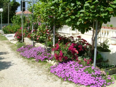 Apartment Four-bedroom apartment with terrace and sea view Vrsi - Mulo, Zadar A-5791-b - Outdoor photo 10