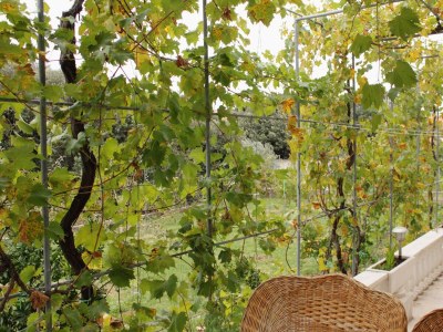 Apartment Four-bedroom apartment with terrace and sea view Vrsi - Mulo, Zadar A-5791-b - Outdoor photo 43