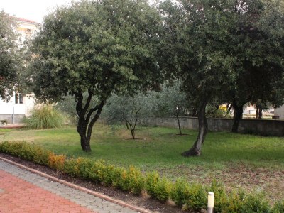 Apartment One bedroom apartment near beach Vrsi - Mulo, Zadar A-5951-c - Outdoor photo 7