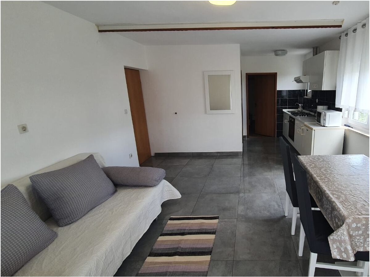 Apartment One bedroom apartment with balcony and sea view Ljubač, Zadar A-6141-b