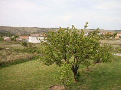 Apartment One bedroom apartment with balcony and sea view Ljubač, Zadar A-6141-b - Outdoor photo 30