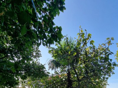 Apartment Studio flat near beach Starigrad, Paklenica AS-6621-b - Outdoor photo 6