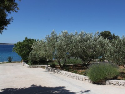 Apartment Studio flat near beach Mandre, Pag AS-6284-a - Outdoor photo 11