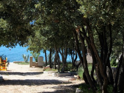 Apartment Studio flat near beach Mandre, Pag AS-6284-a - Outdoor photo 24