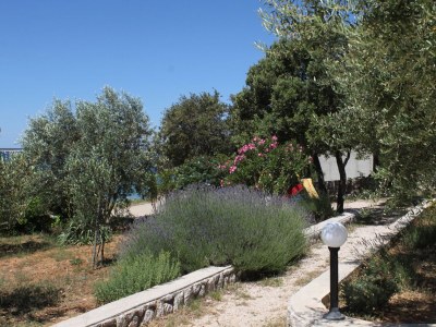 Apartment Studio flat near beach Mandre, Pag AS-6284-c - Outdoor photo 12