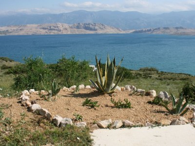Apartment One bedroom apartment with terrace and sea view Bošana, Pag A-6460-b - Outdoor photo 6