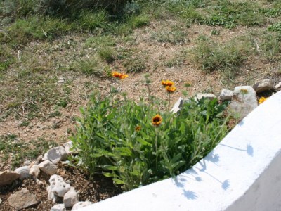 Apartment One bedroom apartment with terrace and sea view Bošana, Pag A-6460-c - Outdoor photo 14