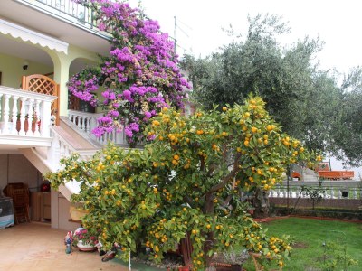 Apartment Two bedroom apartment with terrace Vodice A-6271-c - Outdoor photo 3