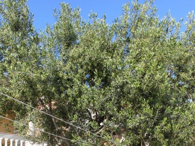 Apartment Two bedroom apartment with balcony and sea view Vodice A-6271-e - Outdoor photo 4