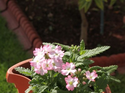 Apartment Two bedroom apartment with balcony and sea view Vodice A-6271-e - Outdoor photo 8