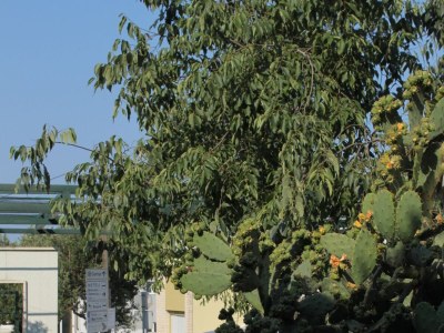 Apartment One bedroom apartment with balcony and sea view Makarska A-6632-b - Outdoor photo 7