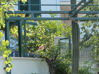 Apartment One bedroom apartment with balcony and sea view Makarska A-6632-b - Outdoor photo 9