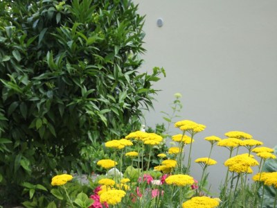 Apartment Two bedroom apartment with terrace and sea view Podgora, Makarska A-6664-a - Outdoor photo 14