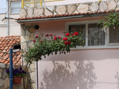 Apartment Apartments by the sea Sveti Petar, Biograd - 6168 - Apartments by the sea Sveti Petar, Biograd - 6168 - Outdoor photo 6