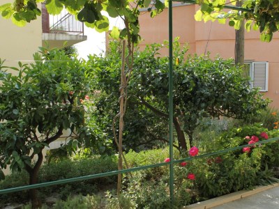 Apartment Two bedroom apartment with terrace Podgora, Makarska A-6664-b - Outdoor photo 36