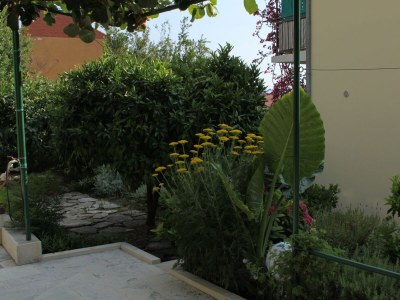 Apartment Two bedroom apartment with terrace Podgora, Makarska A-6664-b - Outdoor photo 37