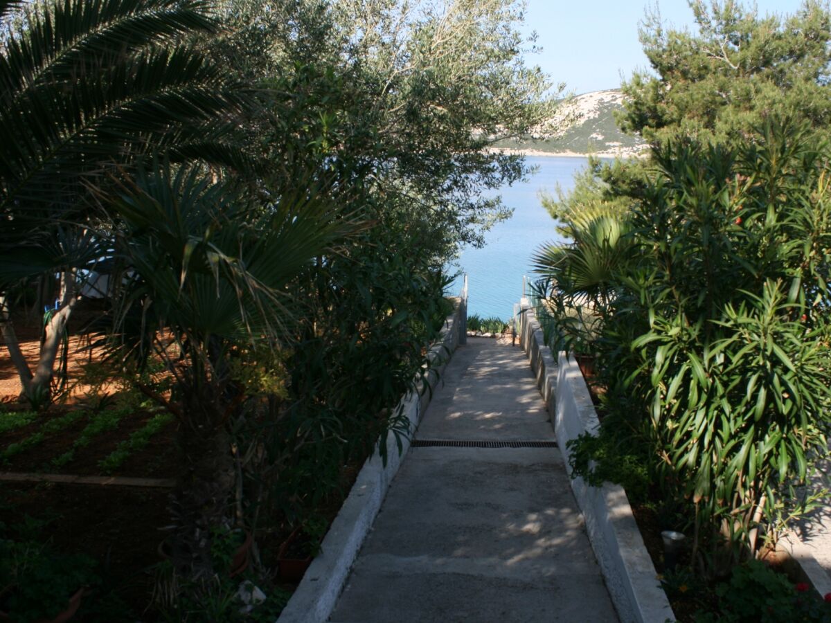 Apartment Three bedroom apartment near beach Stara Novalja, Pag A-6301-a