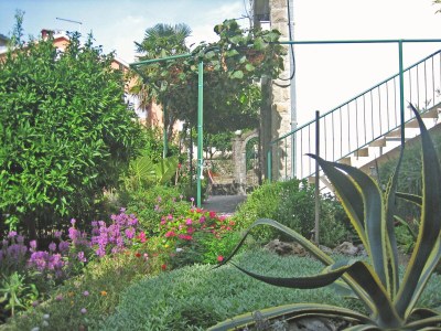 Apartment One bedroom apartment with terrace Podgora, Makarska A-6664-c - Outdoor photo 12