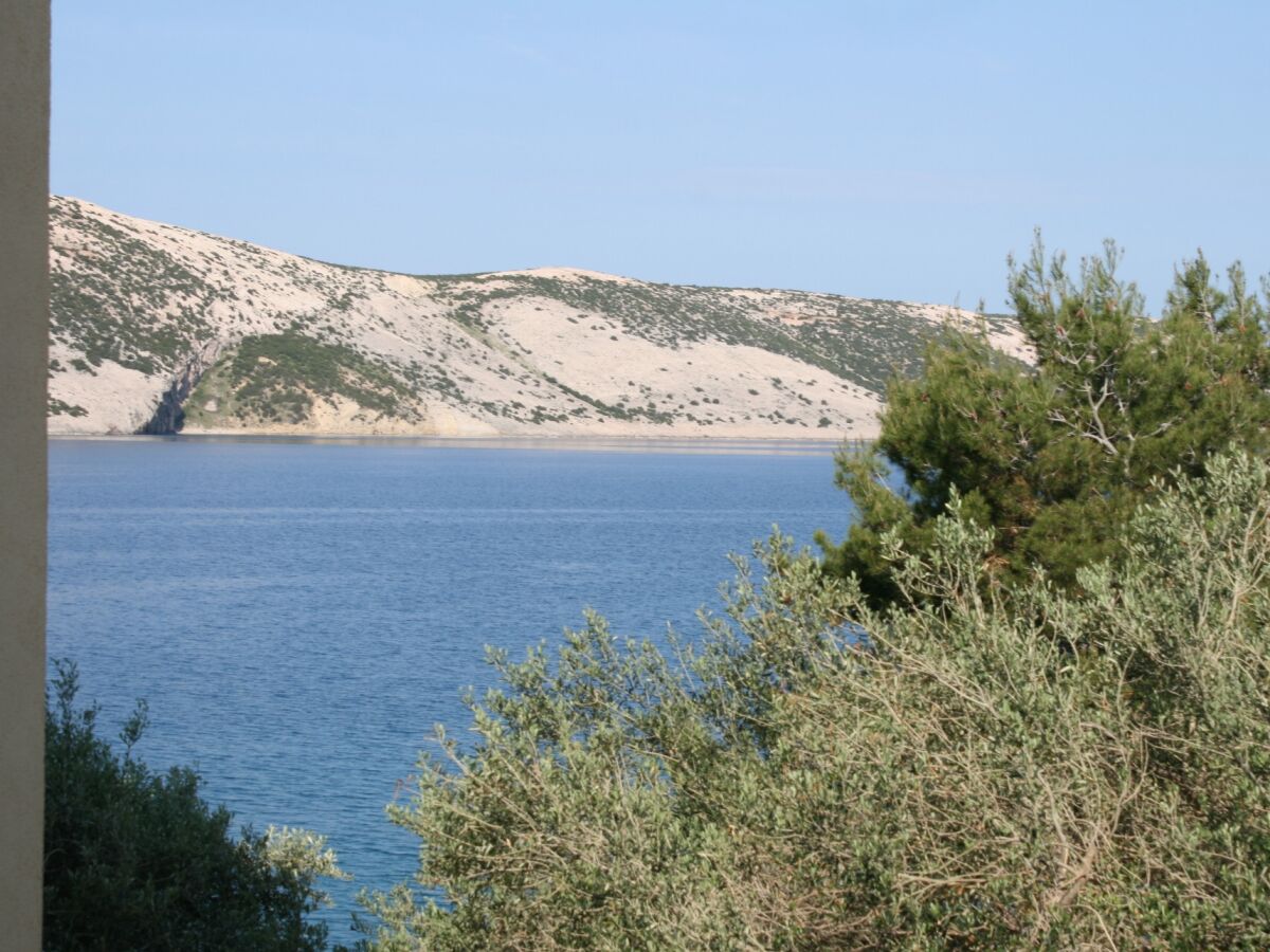 Apartment Two bedroom apartment near beach Stara Novalja, Pag A-6301-b