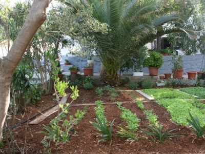 Apartment Two bedroom apartment near beach Stara Novalja, Pag A-6301-b - Outdoor photo 10