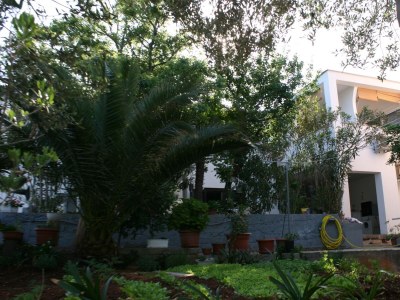 Apartment Two bedroom apartment near beach Stara Novalja, Pag A-6301-b - Outdoor photo 15