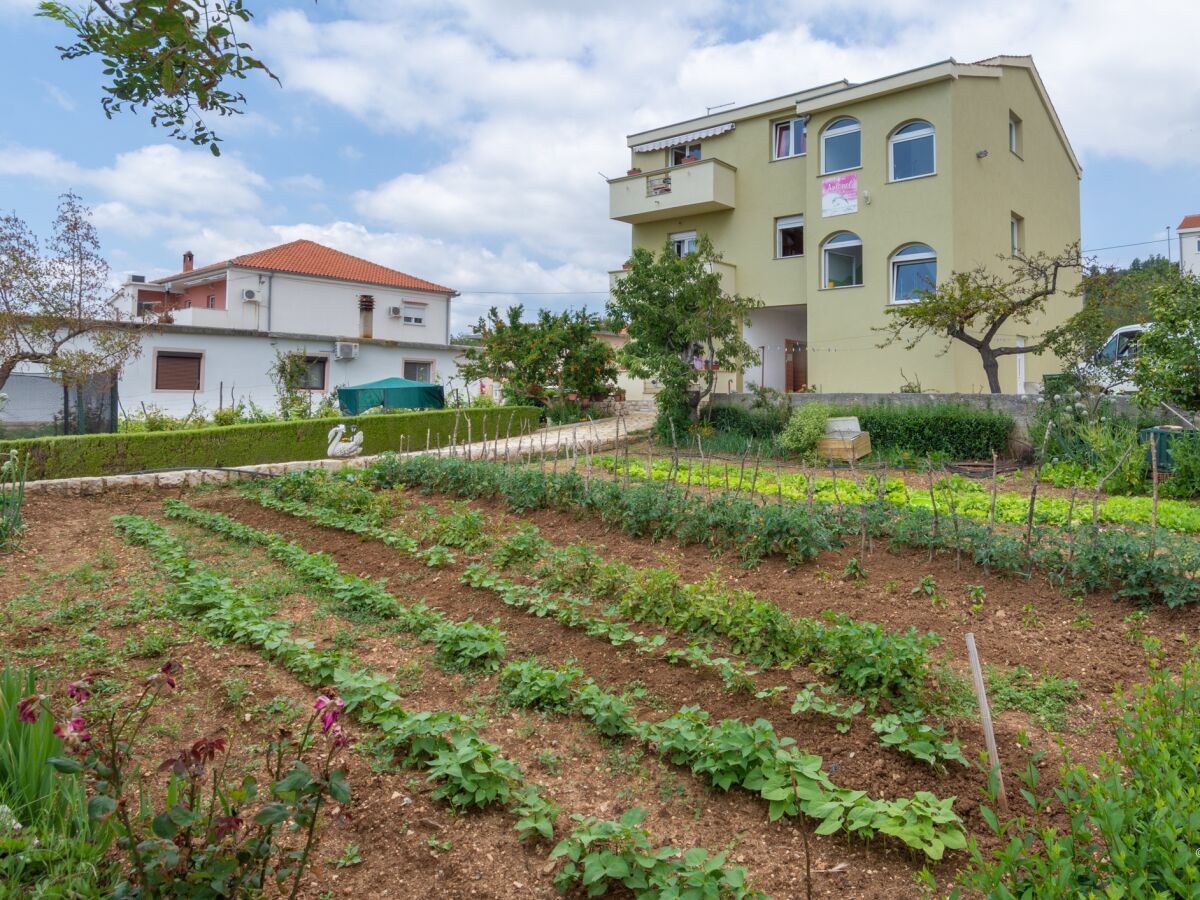 Apartment One bedroom apartment with balcony and sea view Posedarje, Novigrad A-6190-b - Outdoor photo 2