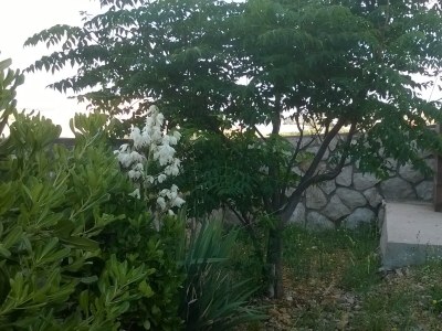 Apartment Studio flat with terrace and sea view Kustići, Pag AS-6392-a - Outdoor photo 6