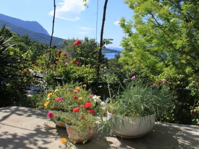 Apartment Studio flat with balcony and sea view Tučepi, Makarska AS-6901-a - Outdoor photo 3