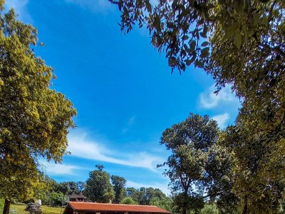 Apartment Two bedroom apartment near beach Cove Mulobedanj, Pag A-6275-a - Outdoor photo 6