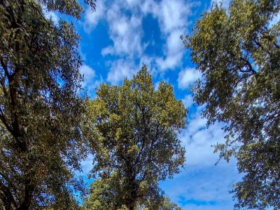 Apartment Two bedroom apartment near beach Cove Mulobedanj, Pag A-6275-a - Outdoor photo 8