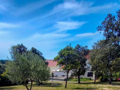 Apartment Two bedroom apartment near beach Cove Mulobedanj, Pag A-6275-a - Outdoor photo 11