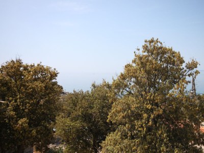 Apartment Two bedroom apartment near beach Cove Mulobedanj, Pag A-6275-a - Outdoor photo 32