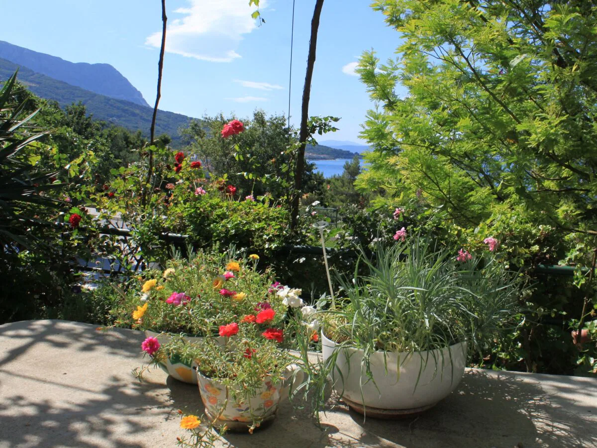 Holiday room with terrace and sea view Tučepi, Makarska S-6901-b - Outdoor photo 4