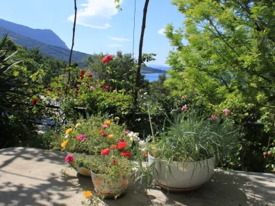 Holiday room with terrace and sea view Tučepi, Makarska S-6901-b - Outdoor photo 4