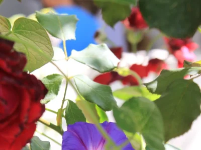 Holiday room with terrace and sea view Tučepi, Makarska S-6901-b - Outdoor photo 7