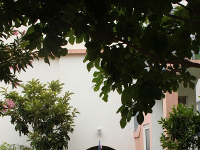 Apartment One bedroom apartment with balcony Gradac, Makarska A-6820-c - Outdoor photo 5